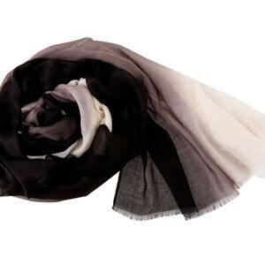 Summer & Rose Ombre Scarf NWOT